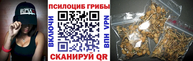 наркотики Щёкино ссылка на мегу рабочий сайт Галлюциногенные грибы GOLDEN TEACHER